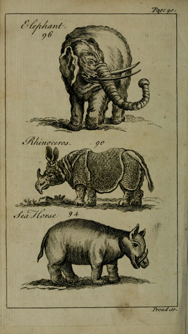 Ein offenes altes Buch mit einer detaillierten Illustration von drei Elefanten und einem Nashorn