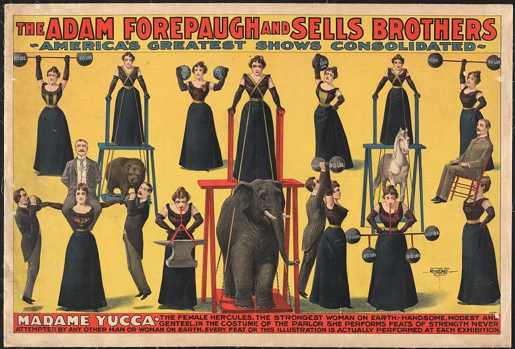 Plakat für Adam Forepaugh und Sells Brothers, Americas Greatest Shows Consolidated, das Darsteller auf Hockern mit einem Elefanten in der Mitte zeigt, einige halten Gegenstände und Text.