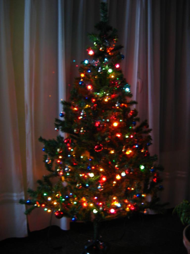 Ein Weihnachtsbaum mit Lichtern steht vor einem Vorhang und einem Topf.