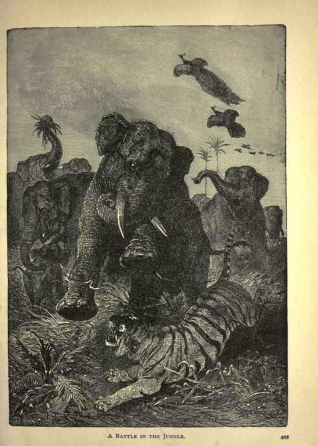 Ein Elefant und ein Tiger kämpfen im Dschungel, umgeben von Bäumen und Vögeln, die am Himmel fliegen, mit Text unten im Bild.