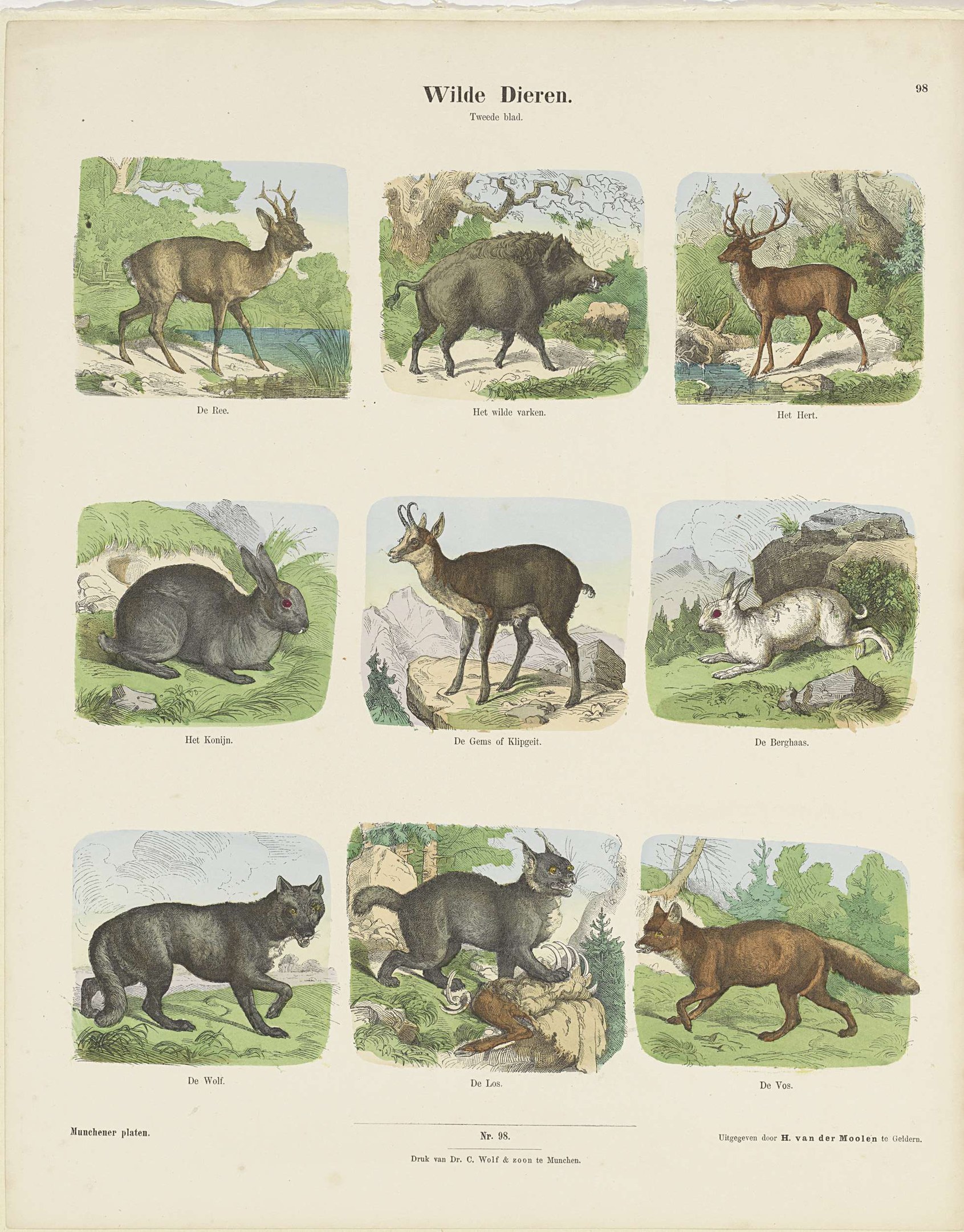 Ein Buchumschlag mit Illustrationen von Wildtieren wie einem Reh und Kaninchen, mit sichtbarem Text auf dem Papier.