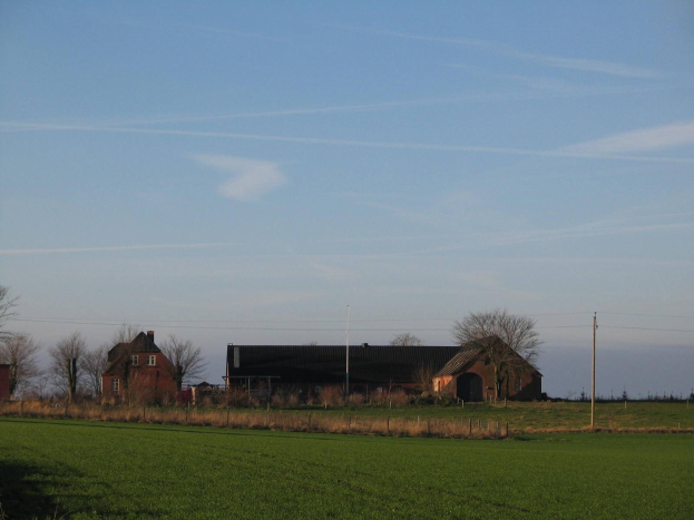 Ein Hof in den Niederlanden mit einer grünen Wiese im Vordergrund, einem Stall im Hintergrund, umgeben von Bäumen, Pfählen und Drähten, unter einem Himmel voller weißer, flauschiger Wolken.