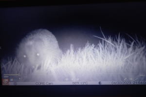 Ein Computerbildschirm mit einer Wolkenabbildung, begleitet von Text und Zahlen.