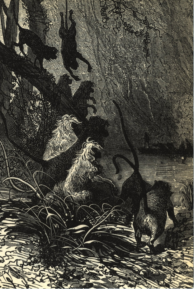 Schwarze und weiße Illustration einer Gruppe von Löwen in einer Dschungellandschaft mit üppiger Vegetation und dem Text 'Der Löwenkönig' unten.