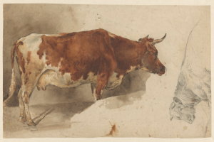 Eine braune und weiße Kuh steht aufrecht mit erhobenem Kopf und aufgestellten Ohren neben einer anderen Kuh auf einem Papier mit Text, beide wirken zufrieden.