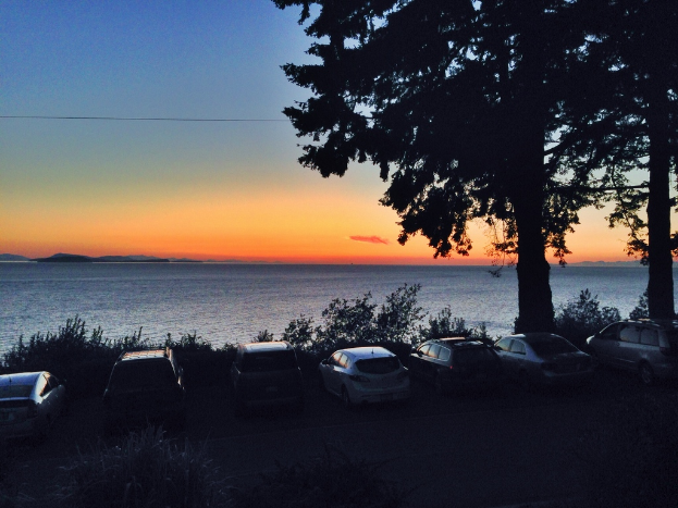 Eine friedliche Küstenlandschaft mit zwei Bäumen und einigen Pflanzen im Vordergrund und einer Reihe geparkter Autos im Hintergrund.