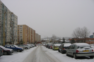 Eine Wohnstraße mit Häusern, Bäumen, Autos und Masten auf beiden Seiten, die von Schnee bedeckt ist.