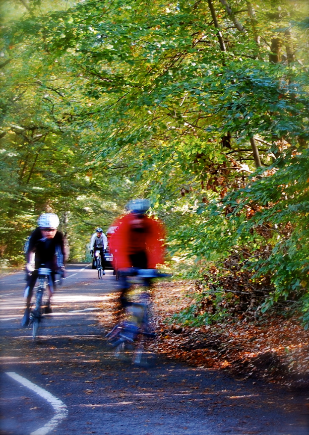 Eine schwarze Straße mit Menschen, die Fahrräder fahren, mit grünen Pflanzen und Bäumen im Hintergrund.