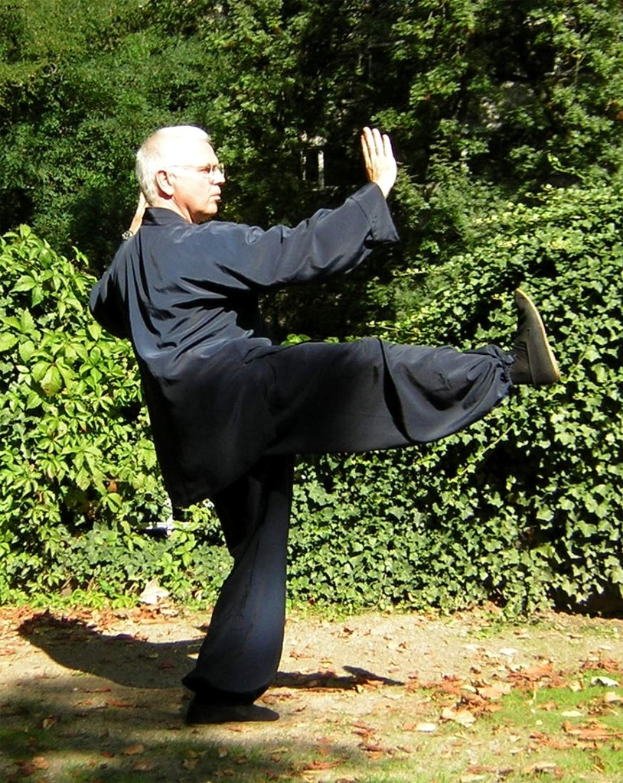 Ein Mann in einem schwarzen Kimono übt Karate in einem Park oder Garten mit Gras, trockenen Blättern und Bäumen im Hintergrund.