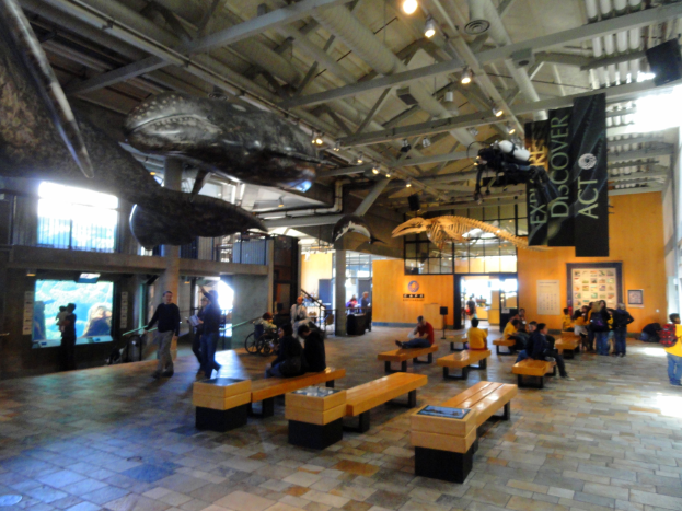 Ein großer Raum mit zahlreichen auf Bänken sitzenden und stehenden Menschen, Schilder mit Text an der Decke, Deckenbeleuchtung, ein Display auf der linken Seite und verschiedene Gegenstände im Hintergrund, die eine Museumssituation vermuten lassen.