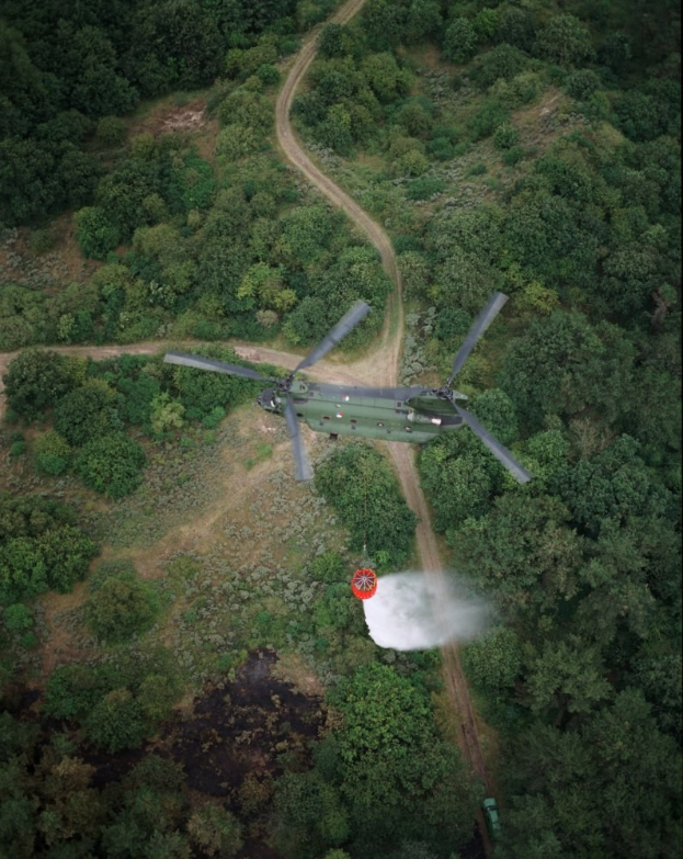Ein Hubschrauber fliegt über einen dichten grünen Wald mit Bäumen und einer Straße im Hintergrund, mit Text am unteren Rand des Bildes.