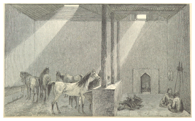 Eine bunte Zeichnung eines Raums mit zwei Pferden, zwei auf dem Boden sitzenden Personen und verschiedenen verstreuten Gegenständen, mit Text unten.