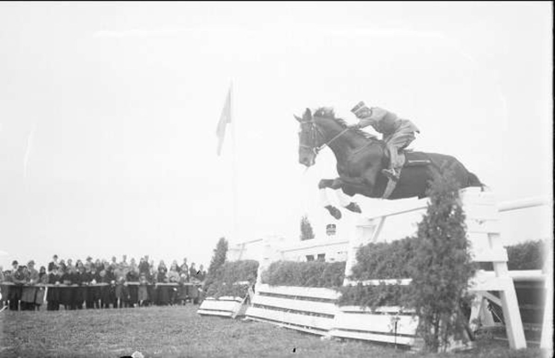 Schwarzes und weißes Foto eines Pferdes und Reiters, die über ein Hindernis springen, bei den Royal Ascot Horse Trials 1953, mit Zuschauern, einer Fahne und Grün im Hintergrund.