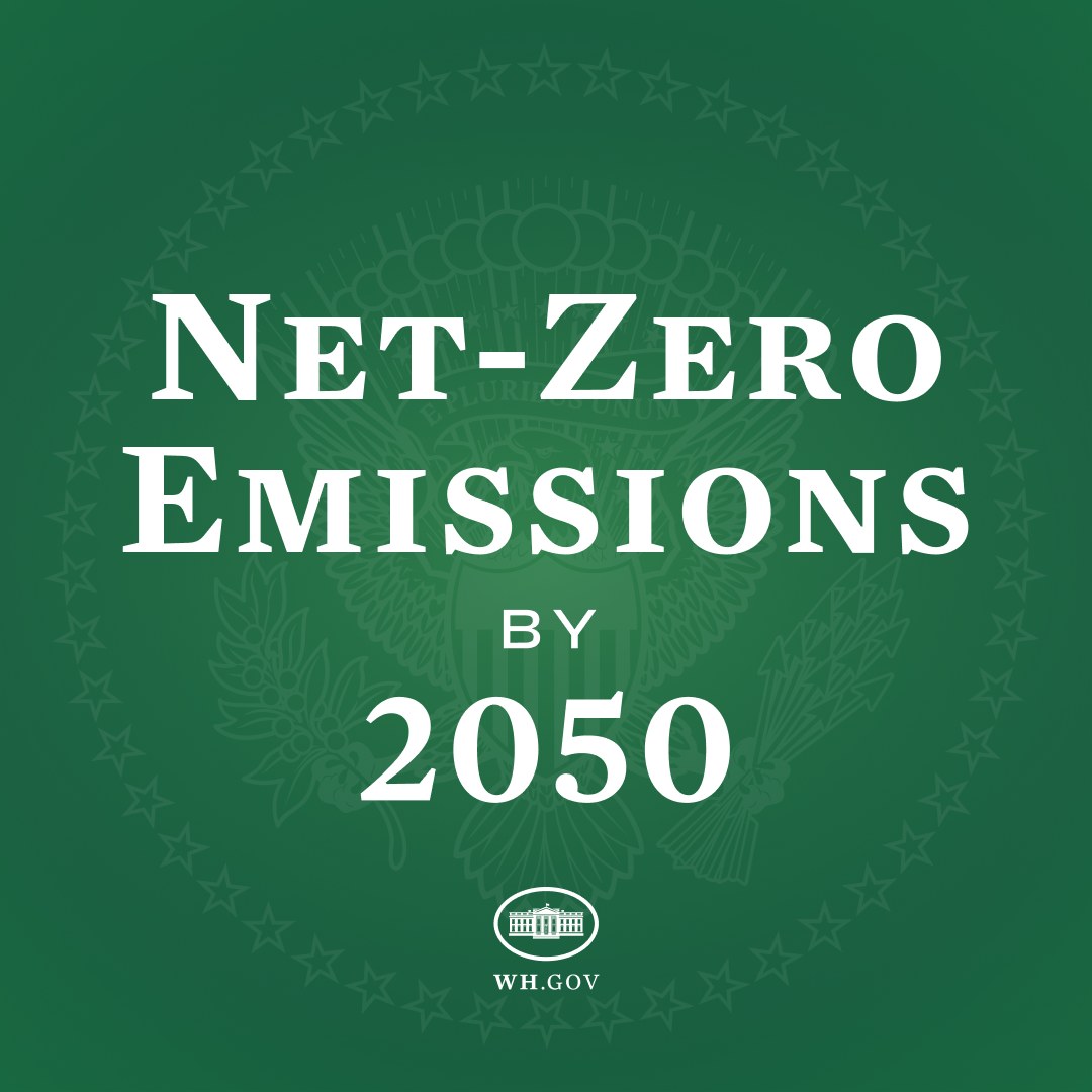 Weißer fetter Text "net-zero emissions by 2050" auf grünem Hintergrund.