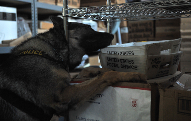 Ein schwarzer und brauner Polizei-Hund ruht auf einem Stapel Kisten in einem Lagerhaus, umgeben von Kartonagen auf Regalen.