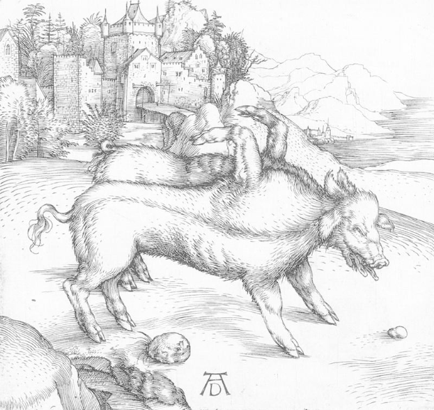 Eine Schwarz-Weiß-Zeichnung von zwei Schweinen in einer Landschaft mit einem Schloss, Bäumen, Hügeln und einem Gewässer im Hintergrund, mit Text am unteren Rand, der 'Albrecht Dürer - Die drei Eber' lautet.