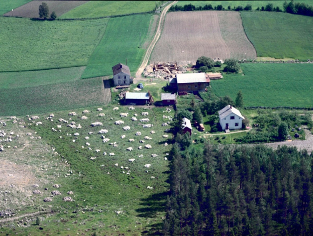 Luftbild einer Farm mit Schafen in der Vordergrund, umgeben von Häusern, Bäumen, Pflanzen, Gras und Steinen, mit Text oben und unten.