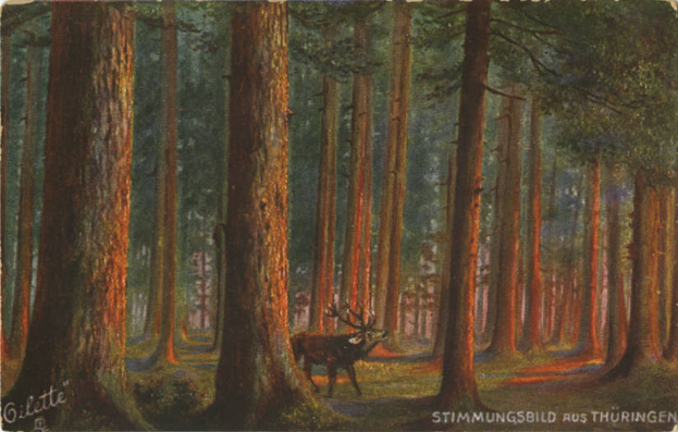 Eine alte Postkarte mit einer Malerei eines Hirschs, der in einem üppigen Wald mit hohen Bäumen und grünem Boden steht, mit deutschem Text unten.