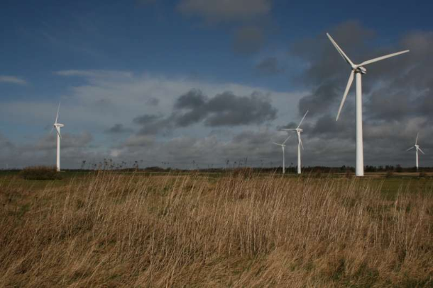 Ein Windturbinenfeld auf einer grasbewachsenen Fläche mit Bäumen im Hintergrund und Wolken am Himmel, wahrscheinlich ein Windpark in den Niederlanden.