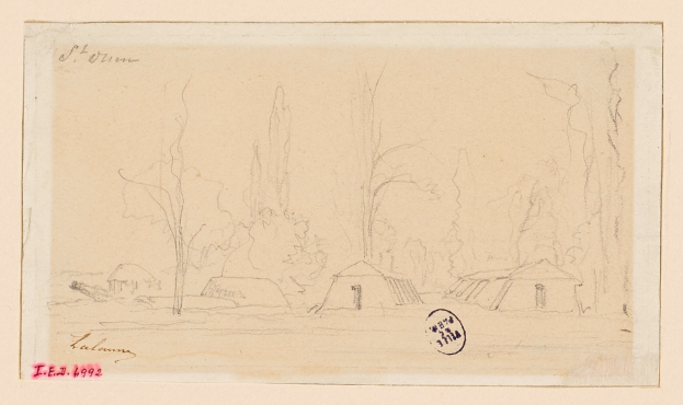 Eine Zeichnung von mehreren Zelten, die in einem bewaldeten Gebiet mit hohen, üppigen Bäumen im Hintergrund aufgestellt sind, dargestellt in einem realistischen Stil mit detaillierten Linien und Schattierungen.