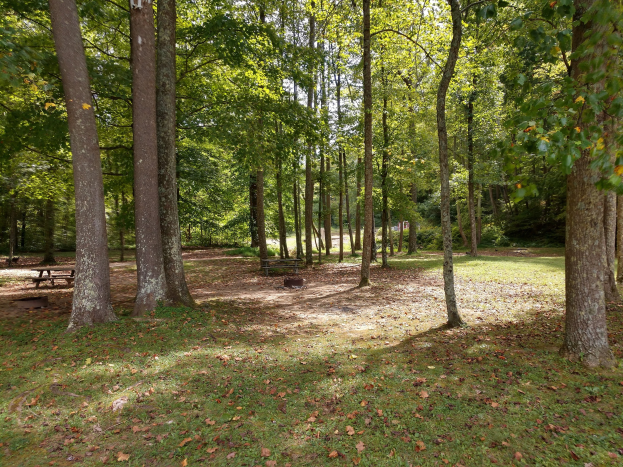Ein Park mit Bäumen, herabgefallenen Herbstblättern in leuchtenden Farben und verstreuten Bänken.
