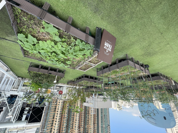 Grünes Dach mit Vegetation in einer städtischen Umgebung, umgeben von Gebäuden, Bäumen und Strommasten.