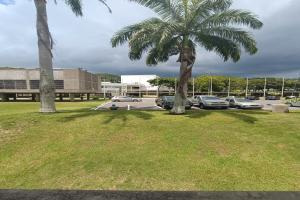 Ein Parkplatz mit parkenden Autos, umgeben von grünem Gras und hohen Palmen, mit Gebäuden, Pfählen und einem klaren blauen Himmel im Hintergrund.