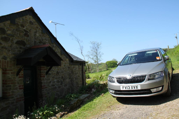 Rechts ist ein Auto, Pflanzen, ein Strommast, Gras und Erde zu sehen. Links gibt es Pflanzen, Blumen, Bäume, einen Zaun, ein Haus und einen Mast unter einem sonnigen Himmel.