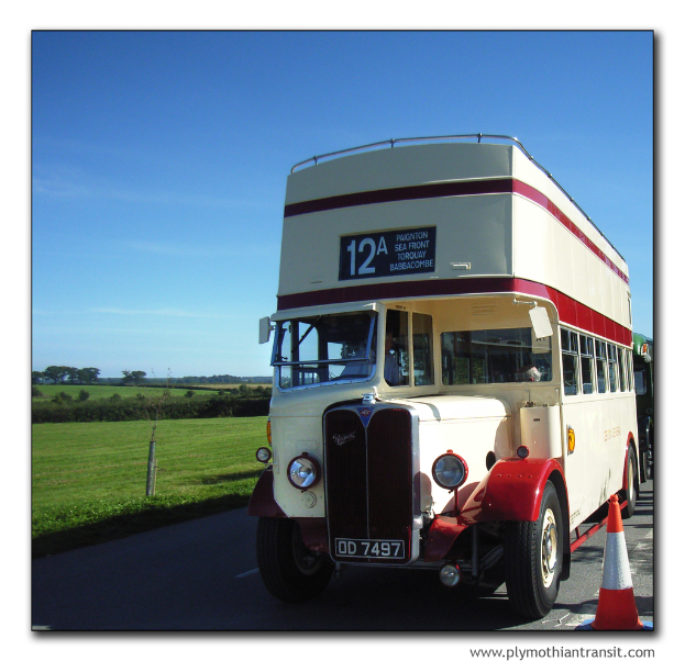 Eine Person in einem Fahrzeug auf einer Straße, mit Bäumen, Gras und Himmel auf der linken Seite, einem Verkehrskegel und Wasserzeichen in der rechten unteren Ecke.