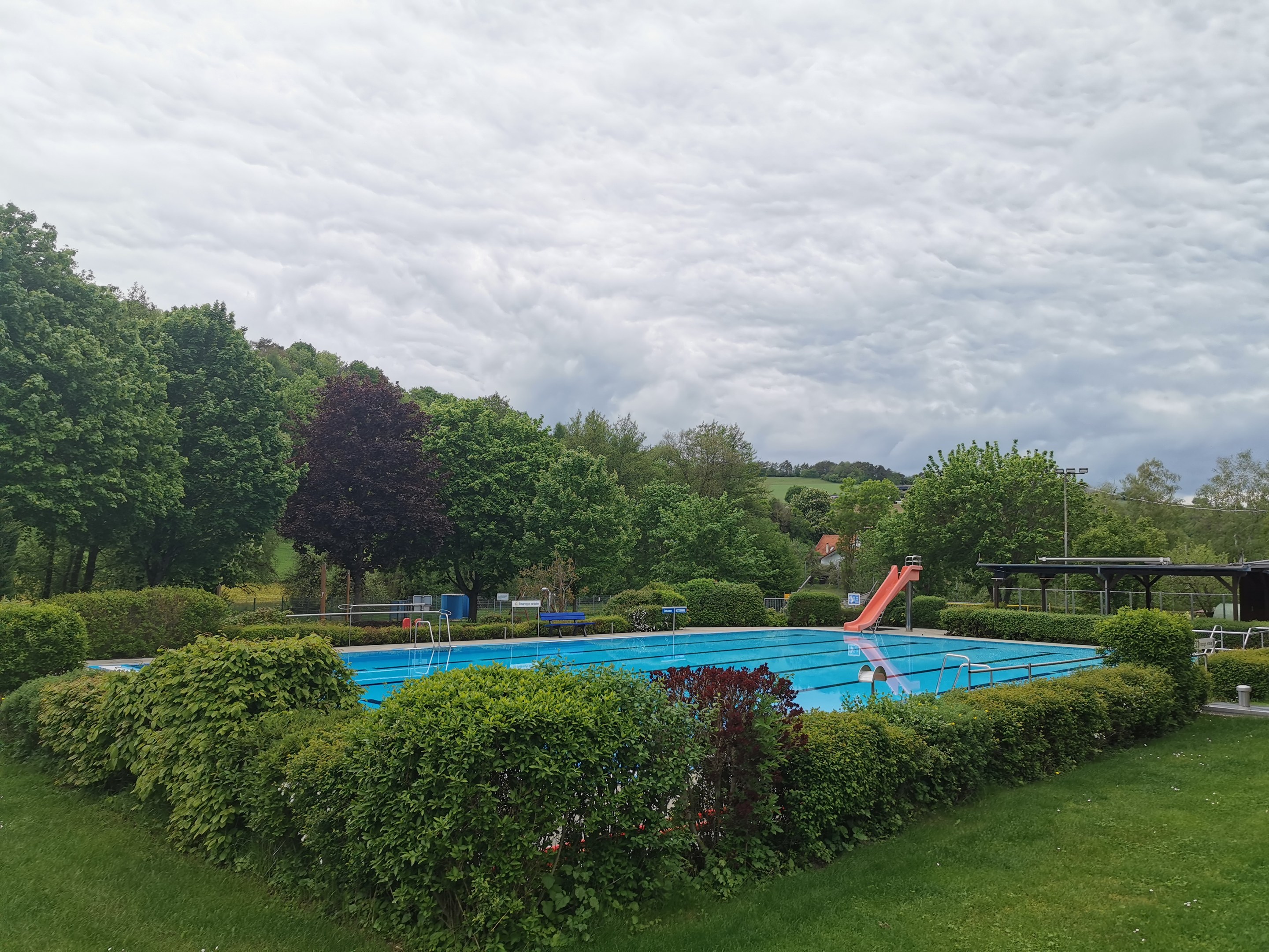 Großer rechteckiger Swimmingpool umgeben von grünem Gras, Bäumen, Pflanzen, Strommasten, einem Schuppen und einem bewölkten Himmel.