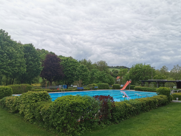 Großer rechteckiger Swimmingpool umgeben von grünem Gras, Bäumen, Pflanzen, Strommasten, einem Schuppen und einem bewölkten Himmel.