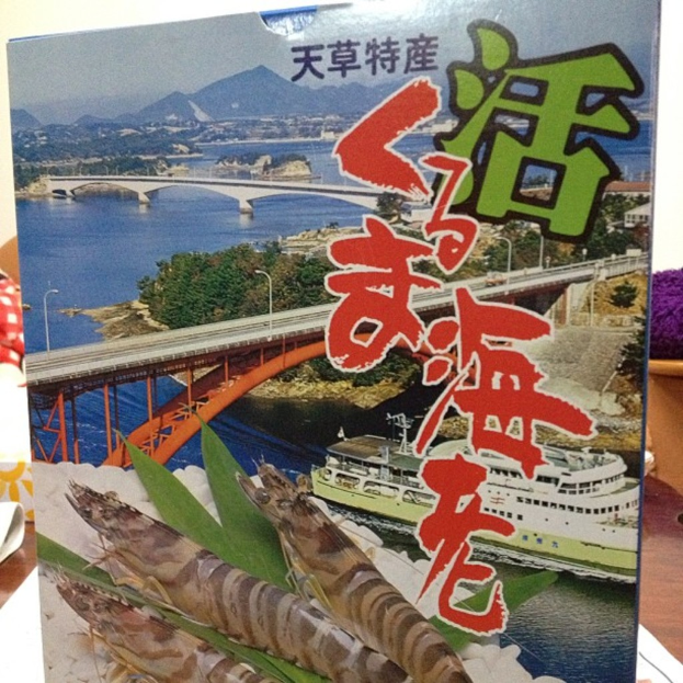 Ein bearbeitetes Bild, das einen See mit einem Schiff und einer Brücke, Bäume in der Mitte, Insekten und Blätter unten, Text in der Mitte und einen Hügel und Himmel oben zeigt.