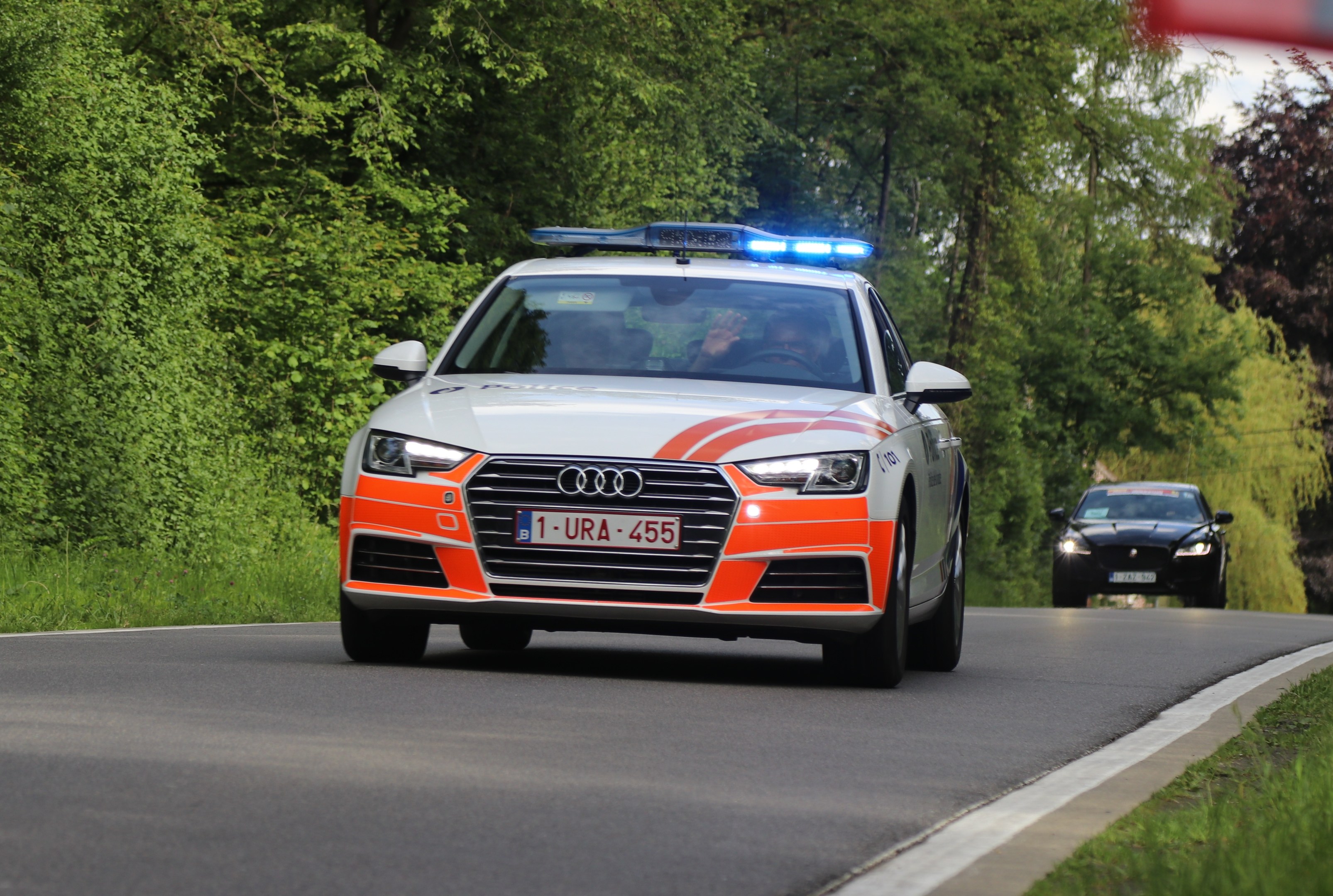 Polizeiauto auf einer Straße neben einem Wald mit zwei Insassen, umgeben von Gras und Bäumen unter einem klaren blauen Himmel.
