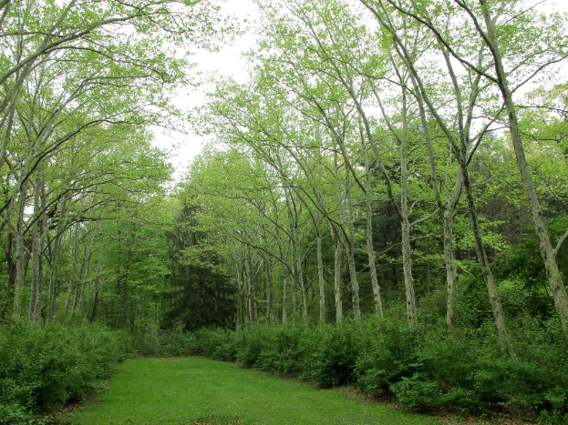 Grün umgibt das Gebiet mit Wiesen am unteren Bildrand.