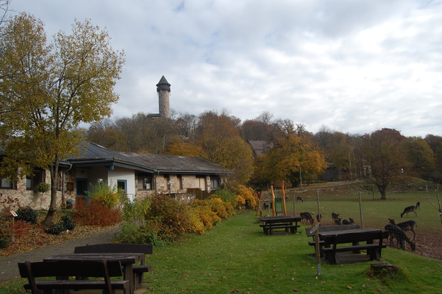 Ein Park mit Bänken, Tischen, Gras, Pflanzen, Bäumen, einem Gebäude mit Fenstern und einem Turm im Hintergrund, weißen Wolken am Himmel und grasenden Tieren.