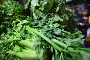 Ein Bund Sellerie auf einem Tisch mit zwei Personen rechts daneben, der Hintergrund ist unscharf.