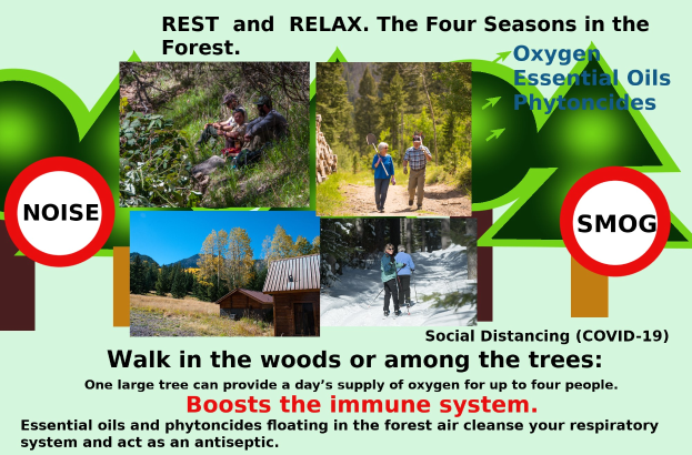 Plakat mit dem Titel "Ruhe und Entspannung in den vier Jahreszeiten im Wald" mit Bildern von Menschen, die durch einen bewaldeten Bereich mit Bäumen und einem Haus gehen, um Entspannung in der Natur zu fördern.