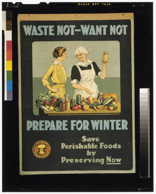 Plakat mit zwei Frauen vor einem Tisch mit Gemüse und Flaschen, das die Aufbewahrung von Lebensmitteln mit dem Text "Verschwende nicht - Willkommen im Winter - Bewahre verderbliche Lebensmittel jetzt auf" bewirbt.