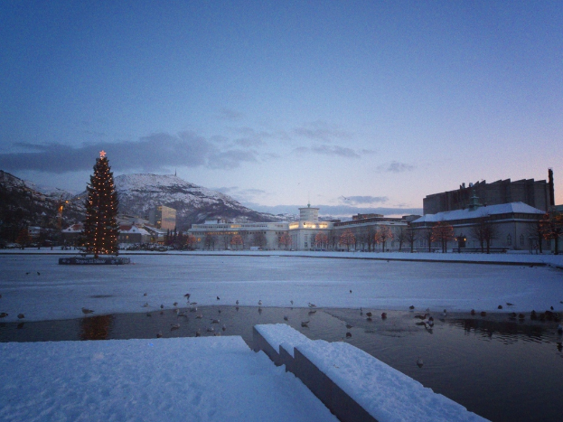 Winterszene von außerhalb einer Stadt mit Gebäuden, Häusern, Bäumen und Pflanzen auf beiden Seiten, einem Weihnachtsbaum mit Lichtern auf der linken Seite, Bergen im Hintergrund, einem bewölkten Himmel oben, Schnee auf dem Boden und ein paar Vögel auf dem Wasser darunter.